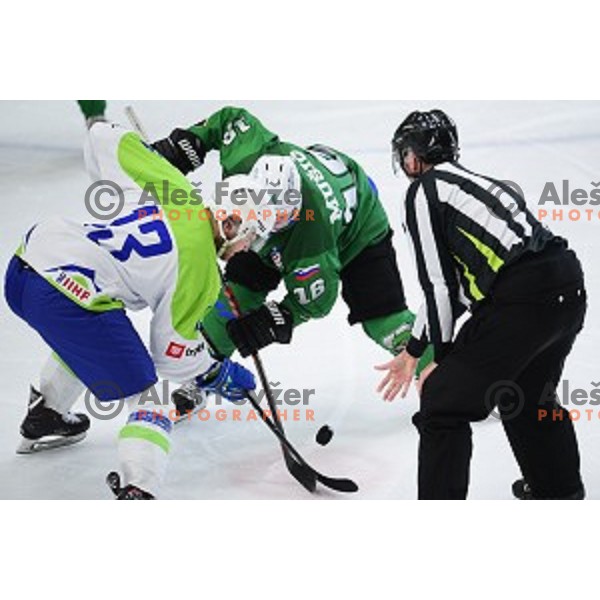 In action during ice-hockey match between SZ Olimpija and Slovenia National team in Bled Ice Hall, Slovenia on September 10, 2020