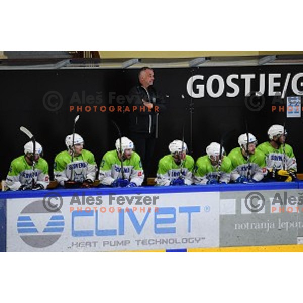 In action during ice-hockey match between SZ Olimpija and Slovenia National team in Bled Ice Hall, Slovenia on September 10, 2020