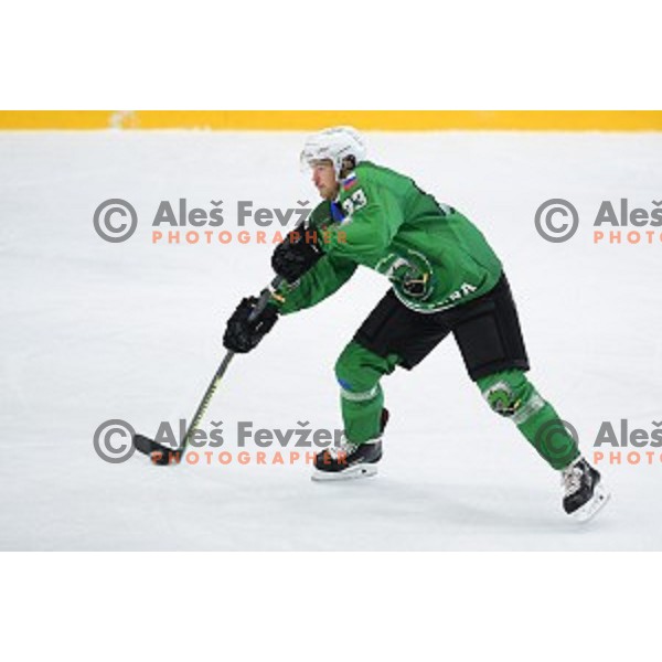 In action during ice-hockey match between SZ Olimpija and Slovenia National team in Bled Ice Hall, Slovenia on September 10, 2020