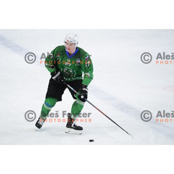 In action during ice-hockey match between SZ Olimpija and Slovenia National team in Bled Ice Hall, Slovenia on September 10, 2020