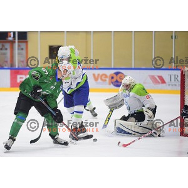 In action during ice-hockey match between SZ Olimpija and Slovenia National team in Bled Ice Hall, Slovenia on September 10, 2020