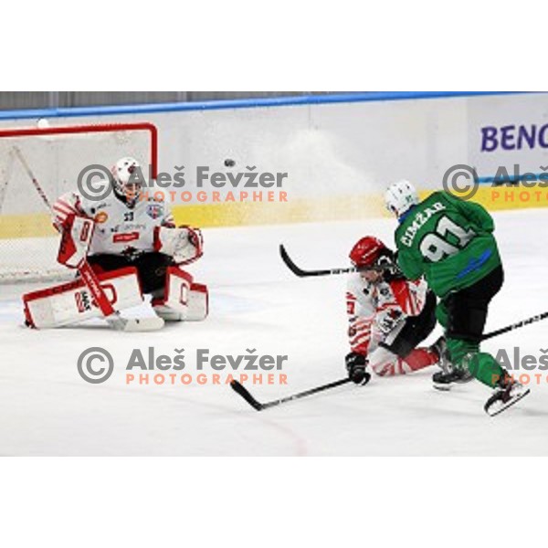 Zan Us and Tadej Tomazevic in action during semi-final of Slovenian Ice-Hockey Cup between SZ Olimpija and SIJ Acroni Jesenice in Tivoli Hall, Ljubljana, Slovenia on September 18, 2020