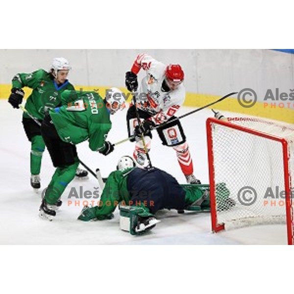 in action during semi-final of Slovenian Ice-Hockey Cup between SZ Olimpija and SIJ Acroni Jesenice in Tivoli Hall, Ljubljana, Slovenia on September 18, 2020