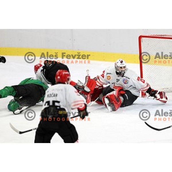 Zan Us in action during semi-final of Slovenian Ice-Hockey Cup between SZ Olimpija and SIJ Acroni Jesenice in Tivoli Hall, Ljubljana, Slovenia on September 18, 2020