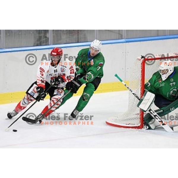 Mirko Djumic and Luka Zorko in action during semi-final of Slovenian Ice-Hockey Cup between SZ Olimpija and SIJ Acroni Jesenice in Tivoli Hall, Ljubljana, Slovenia on September 18, 2020