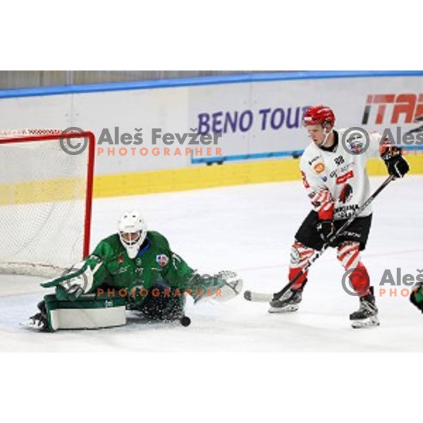 Blaz Tomazevic in action during semi-final of Slovenian Ice-Hockey Cup between SZ Olimpija and SIJ Acroni Jesenice in Tivoli Hall, Ljubljana, Slovenia on September 18, 2020