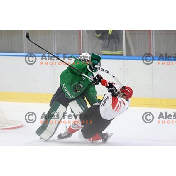 Paavo Hossa and Zan Jezovsek in action during semi-final of Slovenian Ice-Hockey Cup between SZ Olimpija and SIJ Acroni Jesenice in Tivoli Hall, Ljubljana, Slovenia on September 18, 2020