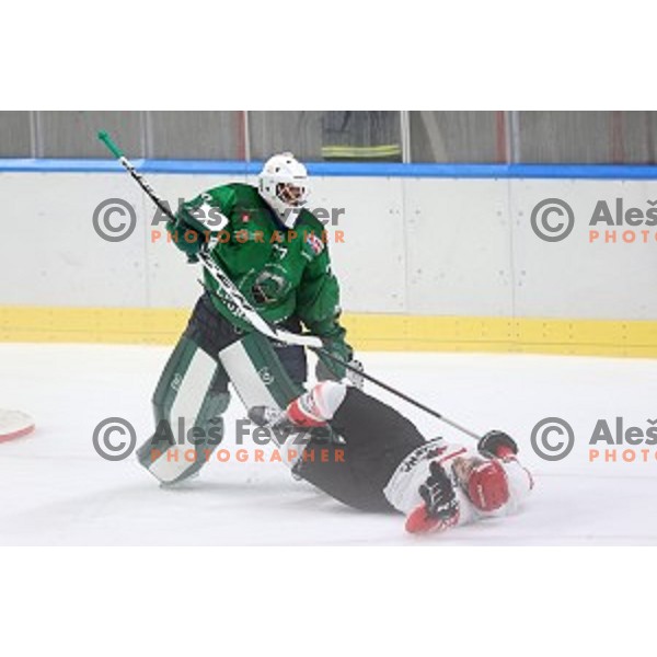Paavo Hossa and Zan Jezovsek in action during semi-final of Slovenian Ice-Hockey Cup between SZ Olimpija and SIJ Acroni Jesenice in Tivoli Hall, Ljubljana, Slovenia on September 18, 2020