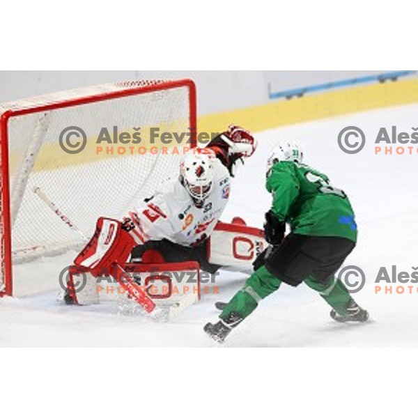 Zan Us in action during semi-final of Slovenian Ice-Hockey Cup between SZ Olimpija and SIJ Acroni Jesenice in Tivoli Hall, Ljubljana, Slovenia on September 18, 2020