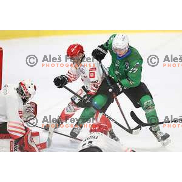 in action during semi-final of Slovenian Ice-Hockey Cup between SZ Olimpija and SIJ Acroni Jesenice in Tivoli Hall, Ljubljana, Slovenia on September 18, 2020