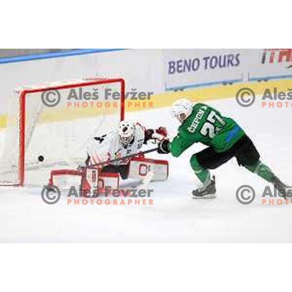 Zan Us and Kristjan Cepon in action during semi-final of Slovenian Ice-Hockey Cup between SZ Olimpija and SIJ Acroni Jesenice in Tivoli Hall, Ljubljana, Slovenia on September 18, 2020