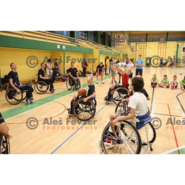 Day of Sports with members of Slovenia Paraolympic team in Zalec sports hall on September 28, 2020