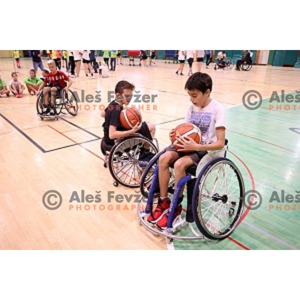 Day of Sports with members of Slovenia Paraolympic team in Zalec sports hall on September 28, 2020