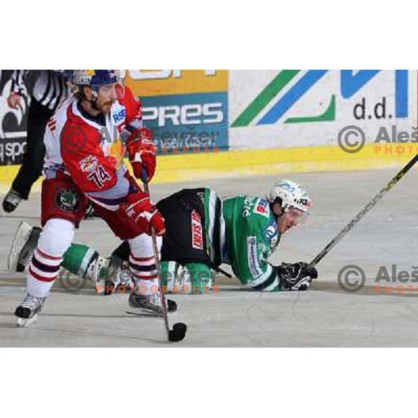 Kalt (74) and Avgustincic at ice-hockey game ZM Olimpija-Red Bulls Salzburg in fourth game of the Final of EBEL league, played in Ljubljana, Slovenia 20.3.2008 
