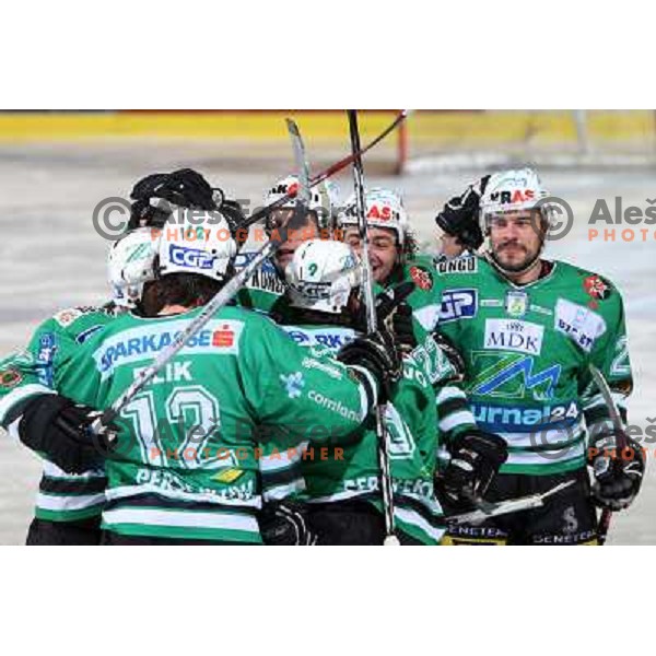 ZM Olimpija players celebrate opening goal at ice-hockey game ZM Olimpija-Red Bulls Salzburg in fourth game of the Final of EBEL league, played in Ljubljana, Slovenia 20.3.2008 