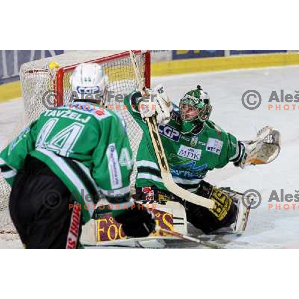 Klemen Mohoric at ice-hockey game ZM Olimpija-Red Bulls Salzburg in fourth game of the Final of EBEL league, played in Ljubljana, Slovenia 20.3.2008 