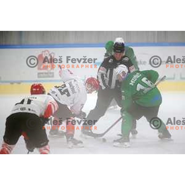 in action during Alps League ice-hockey match between SZ Olimpija and SIJ Acroni Jesenice in Ljubljana, Slovenia on October 3, 2020