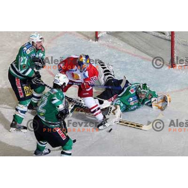 Mohoric at ice-hockey game ZM Olimpija-Red Bulls Salzburg in fourth game of the Final of EBEL league, played in Ljubljana, Slovenia 20.3.2008 