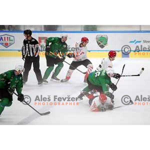 Ales Music in action during Alps League ice-hockey match between SZ Olimpija and SIJ Acroni Jesenice in Ljubljana, Slovenia on October 3, 2020