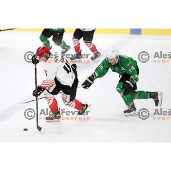Gasper Glavic and Martin Bohinc in action during Alps League ice-hockey match between SZ Olimpija and SIJ Acroni Jesenice in Ljubljana, Slovenia on October 3, 2020