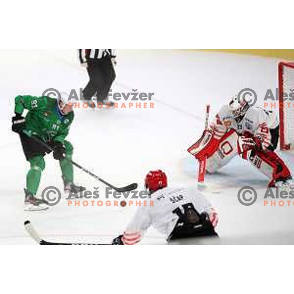 Tadej Cimzar and Zan Us in action during Alps League ice-hockey match between SZ Olimpija and SIJ Acroni Jesenice in Ljubljana, Slovenia on October 3, 2020