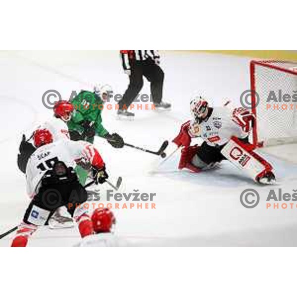 Tadej Cimzar and Zan Us in action during Alps League ice-hockey match between SZ Olimpija and SIJ Acroni Jesenice in Ljubljana, Slovenia on October 3, 2020