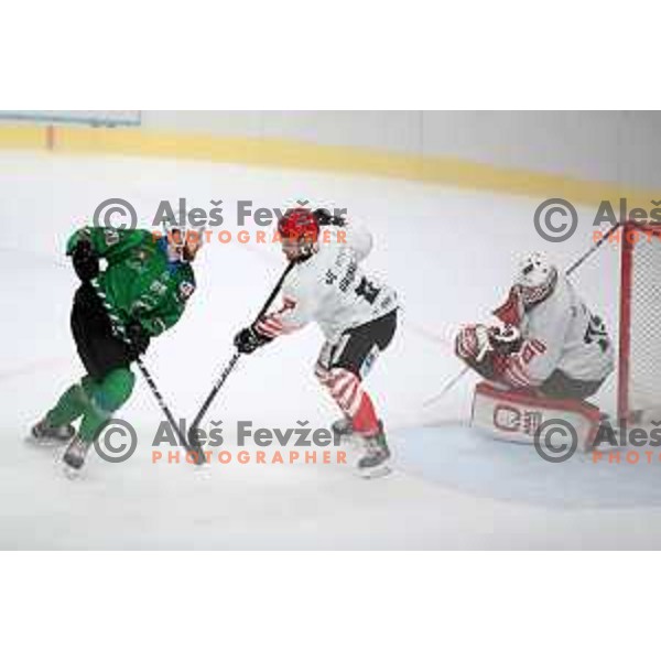 Miha Zajc and Ziga Urukalo in action during Alps League ice-hockey match between SZ Olimpija and SIJ Acroni Jesenice in Ljubljana, Slovenia on October 3, 2020