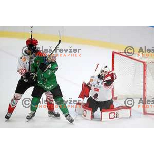 in action during Alps League ice-hockey match between SZ Olimpija and SIJ Acroni Jesenice in Ljubljana, Slovenia on October 3, 2020