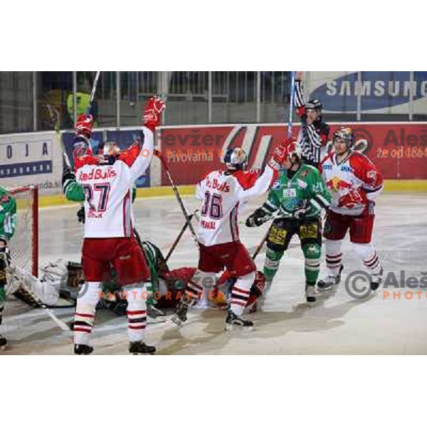 Salzburg players celebrate first goal at ice-hockey game ZM Olimpija-Red Bulls Salzburg in fourth game of the Final of EBEL league, played in Ljubljana, Slovenia 20.3.2008 