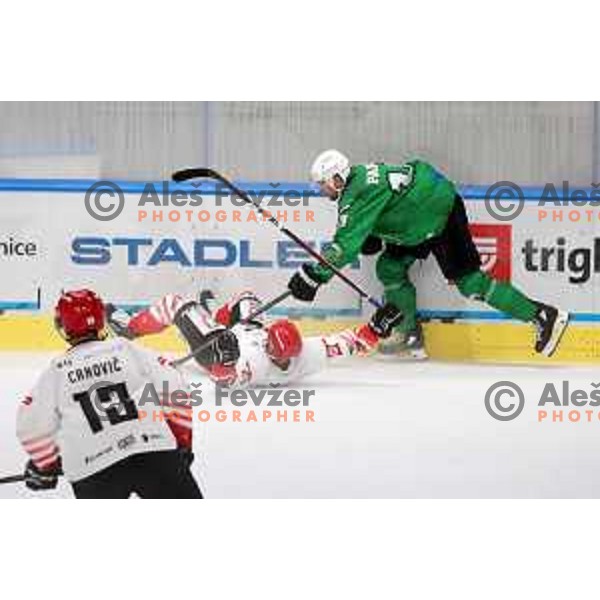 Ziga Pance in action during Alps League ice-hockey match between SZ Olimpija and SIJ Acroni Jesenice in Ljubljana, Slovenia on October 3, 2020