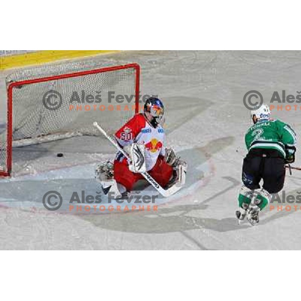 Mitchell scores fourth goal for ZM Olimpija at ice-hockey game ZM Olimpija-Red Bulls Salzburg in fourth game of the Final of EBEL league, played in Ljubljana, Slovenia 20.3.2008 