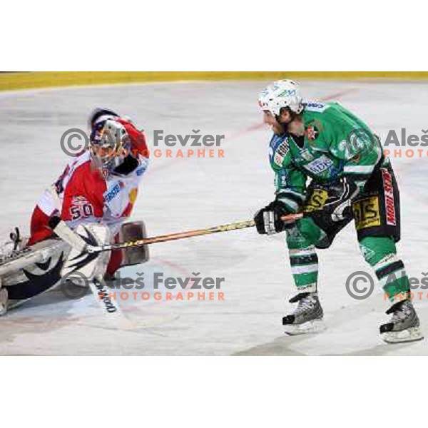 Divis and Vnuk (24) at ice-hockey game ZM Olimpija-Red Bulls Salzburg in the Final of EBEL league, played in Ljubljana, Slovenia 20.3.2008. ZM Olimpija won the game 4:3 and leads series 3:1. Photo by Ales Fevzer 