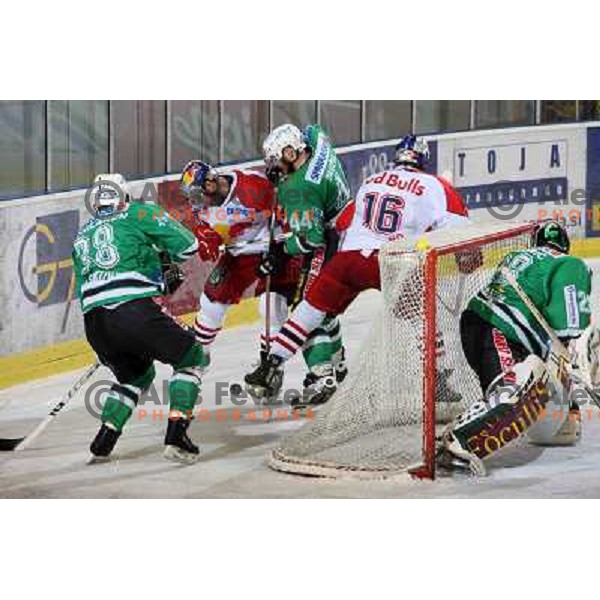 Tavzelj (44) at ice-hockey game ZM Olimpija-Red Bulls Salzburg in the Final of EBEL league, played in Ljubljana, Slovenia 20.3.2008. ZM Olimpija won the game 4:3 and leads series 3:1. Photo by Ales Fevzer 