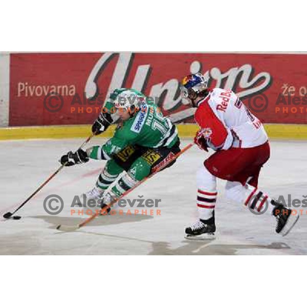 Muric (15) and Lynch at ice-hockey game ZM Olimpija-Red Bulls Salzburg in the Final of EBEL league, played in Ljubljana, Slovenia 20.3.2008. ZM Olimpija won the game 4:3 and leads series 3:1. Photo by Ales Fevzer 
