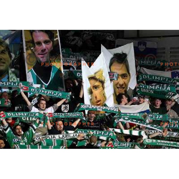 Green Dragons at ice-hockey game ZM Olimpija-Red Bulls Salzburg in the Final of EBEL league, played in Ljubljana, Slovenia 20.3.2008. ZM Olimpija won the game 4:3 and leads series 3:1. Photo by Ales Fevzer 