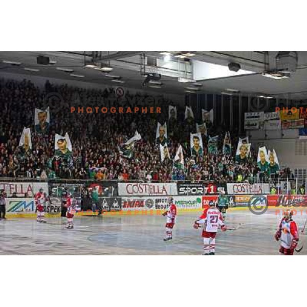 5000 spectators at ice-hockey game ZM Olimpija-Red Bulls Salzburg in the Final of EBEL league, played in Ljubljana, Slovenia 20.3.2008. ZM Olimpija won the game 4:3 and leads series 3:1. Photo by Ales Fevzer 