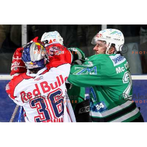 Pewal and McCarthy at ice-hockey game ZM Olimpija-Red Bulls Salzburg in the Final of EBEL league, played in Ljubljana, Slovenia 20.3.2008. ZM Olimpija won the game 4:3 and leads series 3:1. Photo by Ales Fevzer 