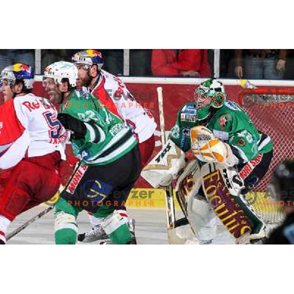 Kuznik (22) and Mohoric (28) at ice-hockey game ZM Olimpija-Red Bulls Salzburg in the Final of EBEL league, played in Ljubljana, Slovenia 20.3.2008. ZM Olimpija won the game 4:3 and leads series 3:1. Photo by Ales Fevzer 