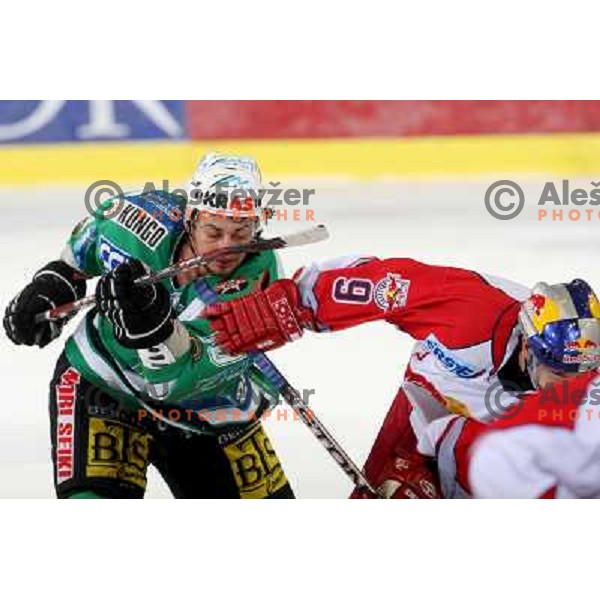 Yarema and Koch at ice-hockey game ZM Olimpija-Red Bulls Salzburg in the Final of EBEL league, played in Ljubljana, Slovenia 20.3.2008. ZM Olimpija won the game 4:3 and leads series 3:1. Photo by Ales Fevzer 