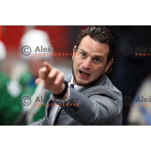 Gregor Poloncic during Alps league ice-hockey match between Acroni Jesenice and SZ Olimpija in Podmezakla Hall, Jesenice, Slovenia on October 8, 2020