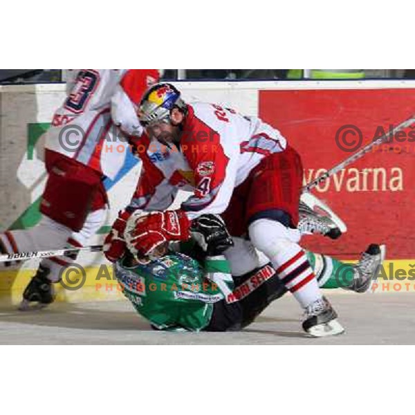 Green sacks Hocevar at ice-hockey game ZM Olimpija-Red Bulls Salzburg in the Final of EBEL league, played in Ljubljana, Slovenia 20.3.2008. ZM Olimpija won the game 4:3 and leads series 3:1. Photo by Ales Fevzer 