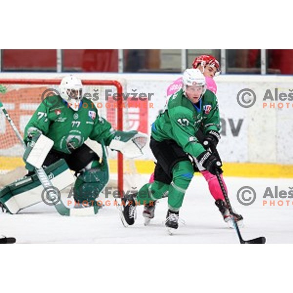 during Alps league ice-hockey match between Acroni Jesenice and SZ Olimpija in Podmezakla Hall, Jesenice, Slovenia on October 8, 2020