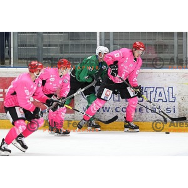 Jaka Sturm during Alps league ice-hockey match between Acroni Jesenice and SZ Olimpija in Podmezakla Hall, Jesenice, Slovenia on October 8, 2020