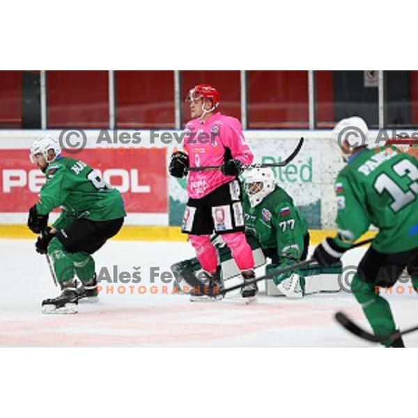 during Alps league ice-hockey match between Acroni Jesenice and SZ Olimpija in Podmezakla Hall, Jesenice, Slovenia on October 8, 2020