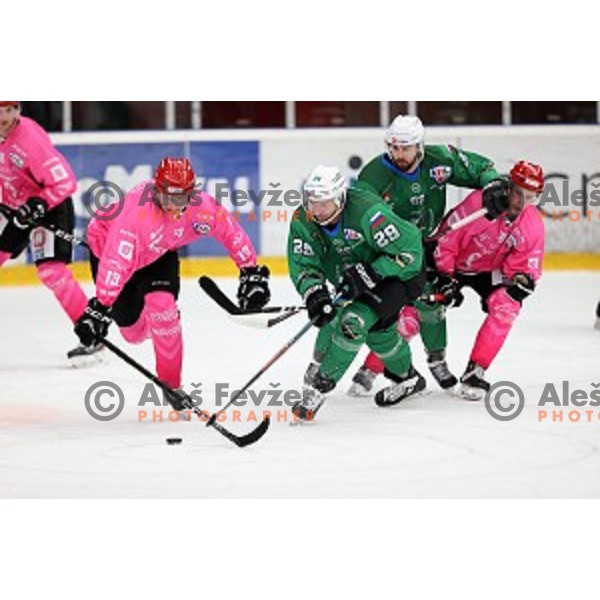 Aljosa Crnovic and Anze Ropret during Alps league ice-hockey match between Acroni Jesenice and SZ Olimpija in Podmezakla Hall, Jesenice, Slovenia on October 8, 2020