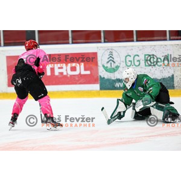 Zan Jezovsek and Paavo Holsa during Alps league ice-hockey match between Acroni Jesenice and SZ Olimpija in Podmezakla Hall, Jesenice, Slovenia on October 8, 2020