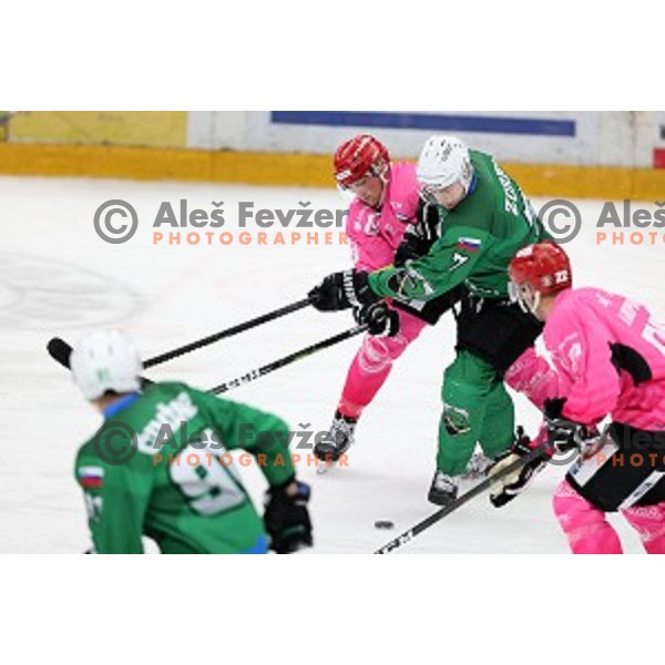 Luka Zorko during Alps league ice-hockey match between Acroni Jesenice and SZ Olimpija in Podmezakla Hall, Jesenice, Slovenia on October 8, 2020