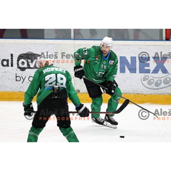 Ziga Pance during Alps league ice-hockey match between Acroni Jesenice and SZ Olimpija in Podmezakla Hall, Jesenice, Slovenia on October 8, 2020