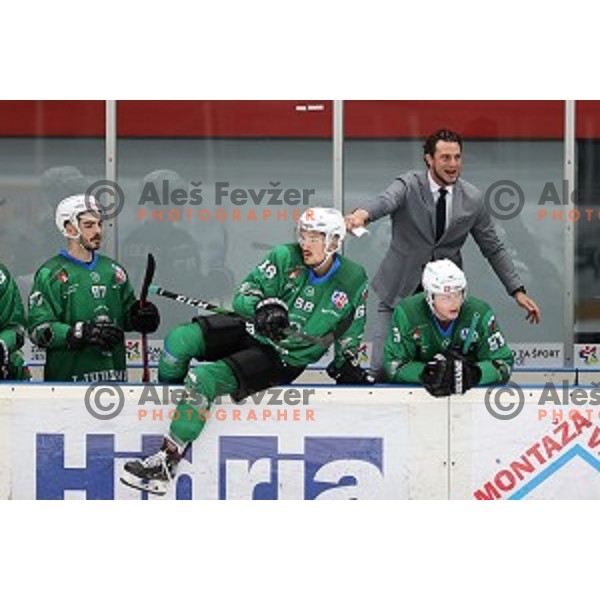 Gregor Poloncic during Alps league ice-hockey match between Acroni Jesenice and SZ Olimpija in Podmezakla Hall, Jesenice, Slovenia on October 8, 2020