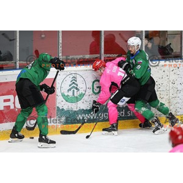 Gasper Sersen during Alps league ice-hockey match between Acroni Jesenice and SZ Olimpija in Podmezakla Hall, Jesenice, Slovenia on October 8, 2020